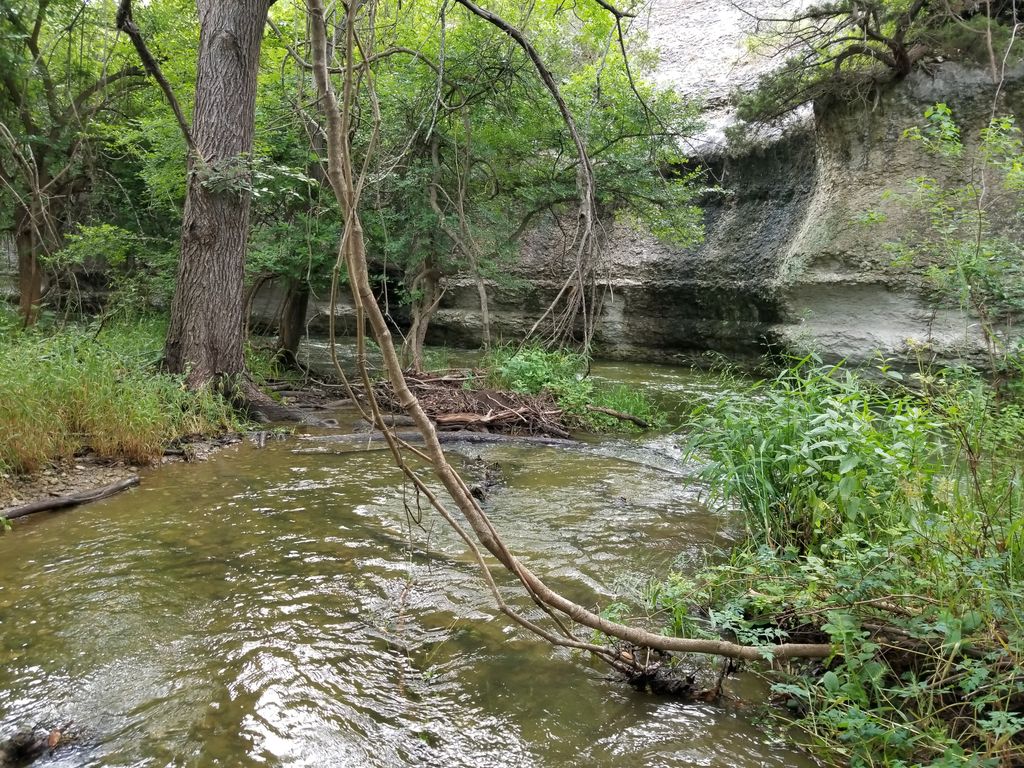 Brushy Creek
