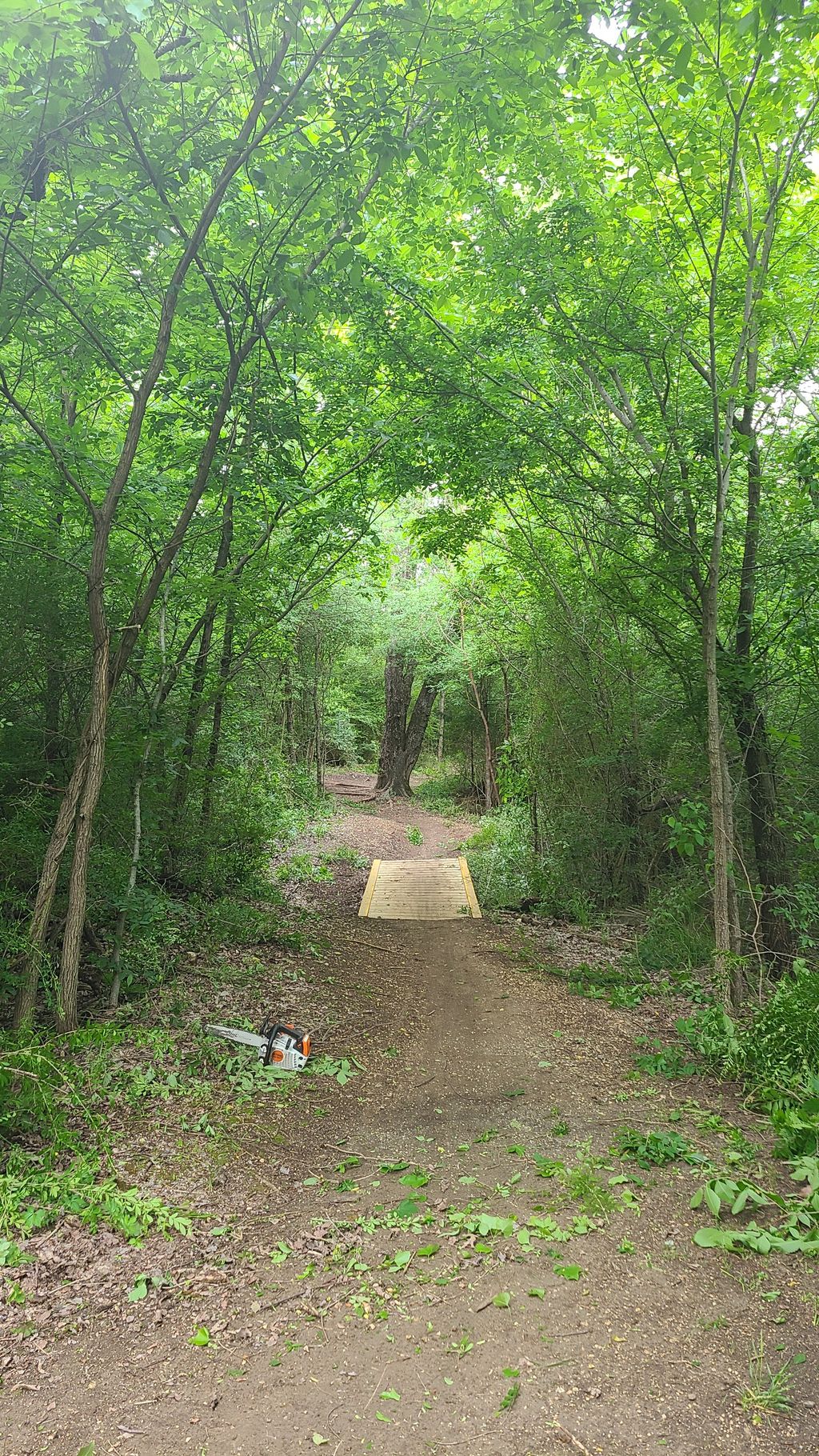 Cedar Hill State Park Dorba Trail