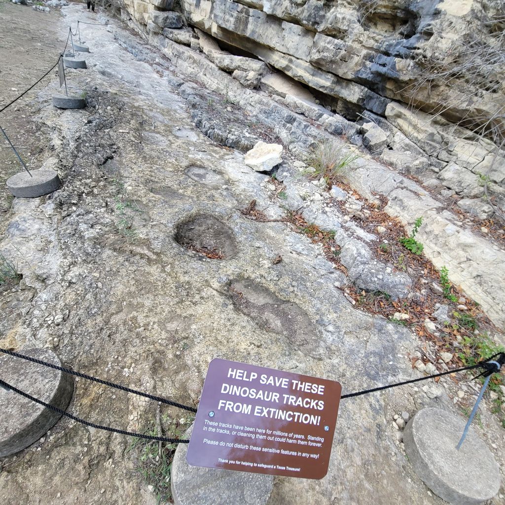 Dinosaur Tracks in Government Canyon