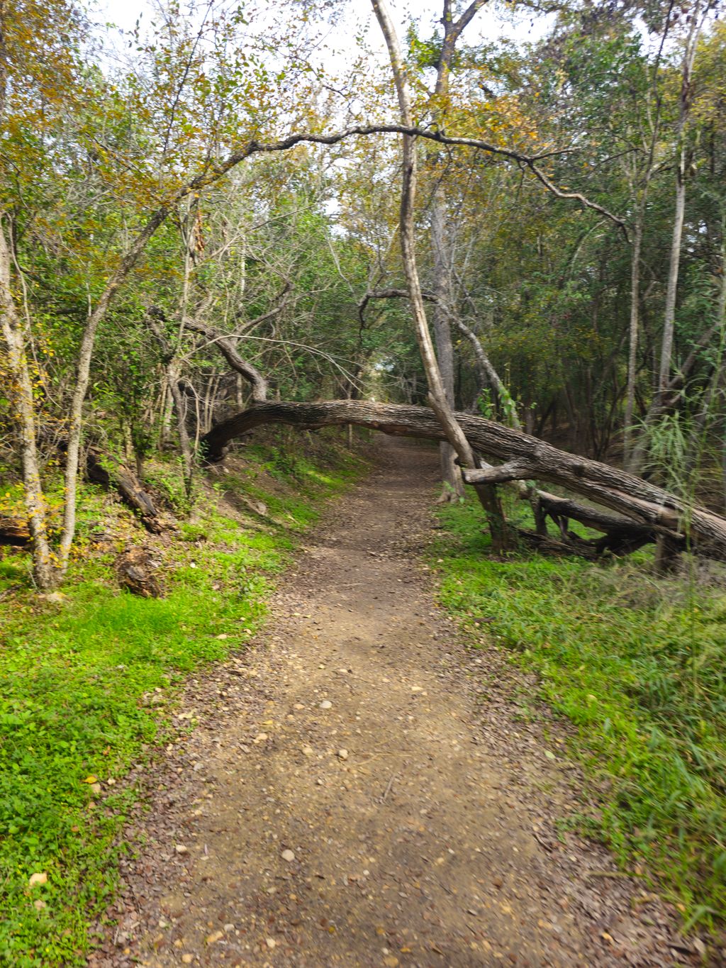 Judson Nature Trails