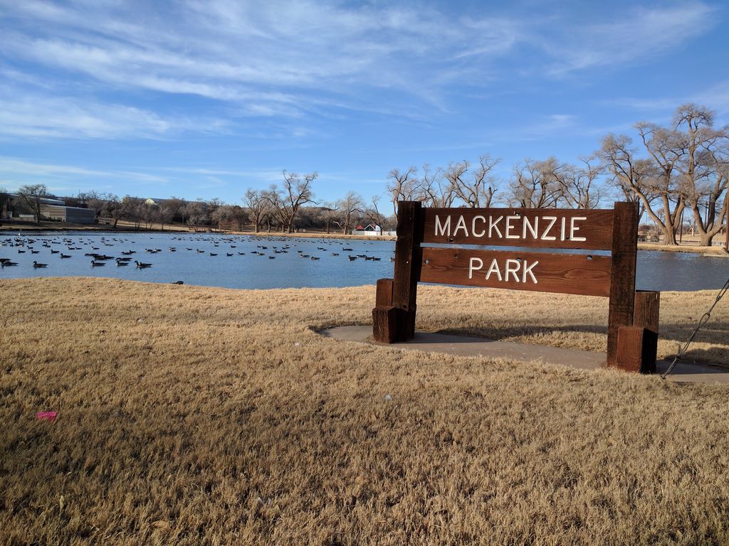 Mackenzie Main City Park