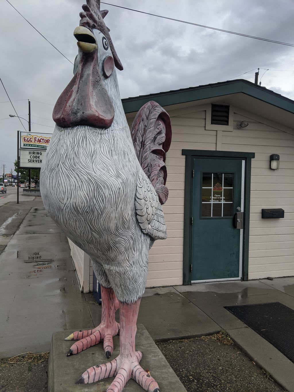 Nampa Big Rooster