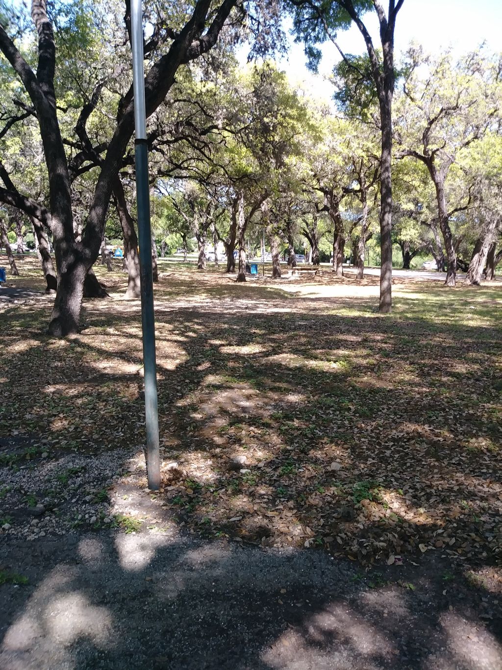 Olmos Basin Park