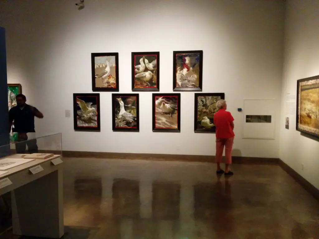 San Antonio Museum of Art (SAMA)