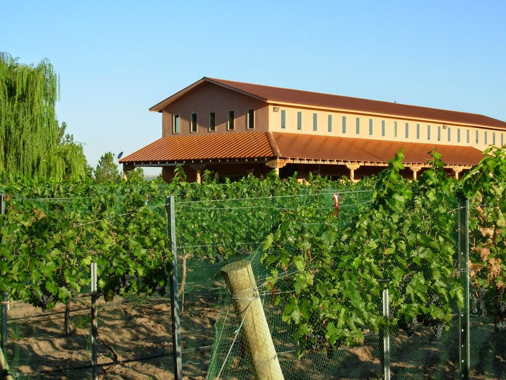 Zin Valle Vineyards