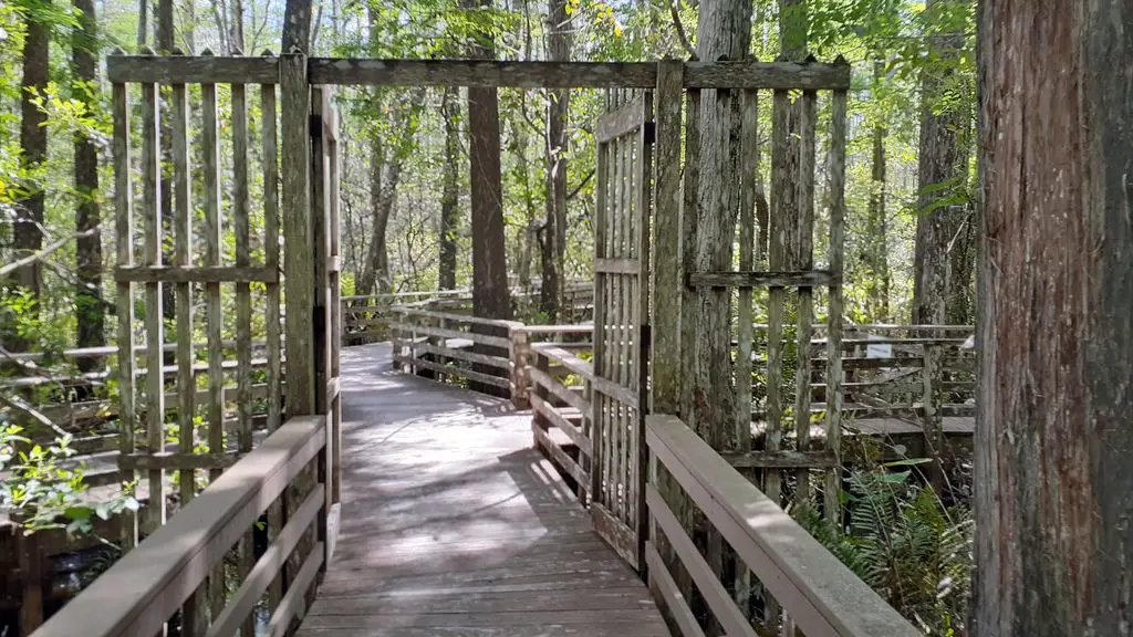Audubon-Corkscrew-Swamp-Sanctuary-ONLINE-TICKETS-RECOMMENDED