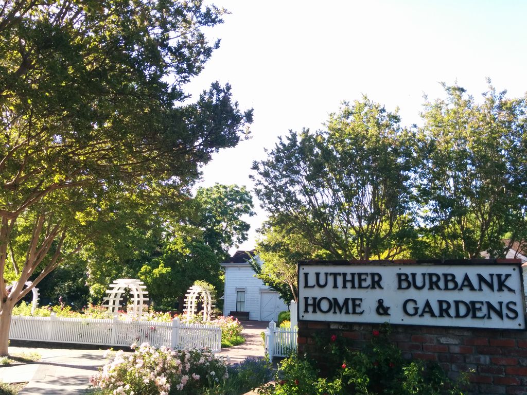 Luther-Burbank-Home-Gardens-2