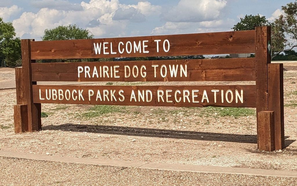 Prairie-Dog-Town-2