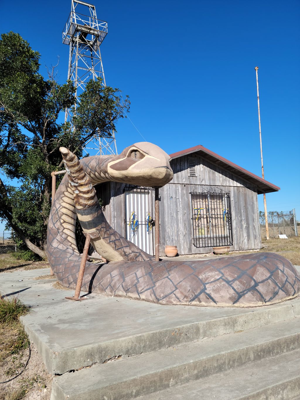 Rattlesnake-Freer-Texas-1