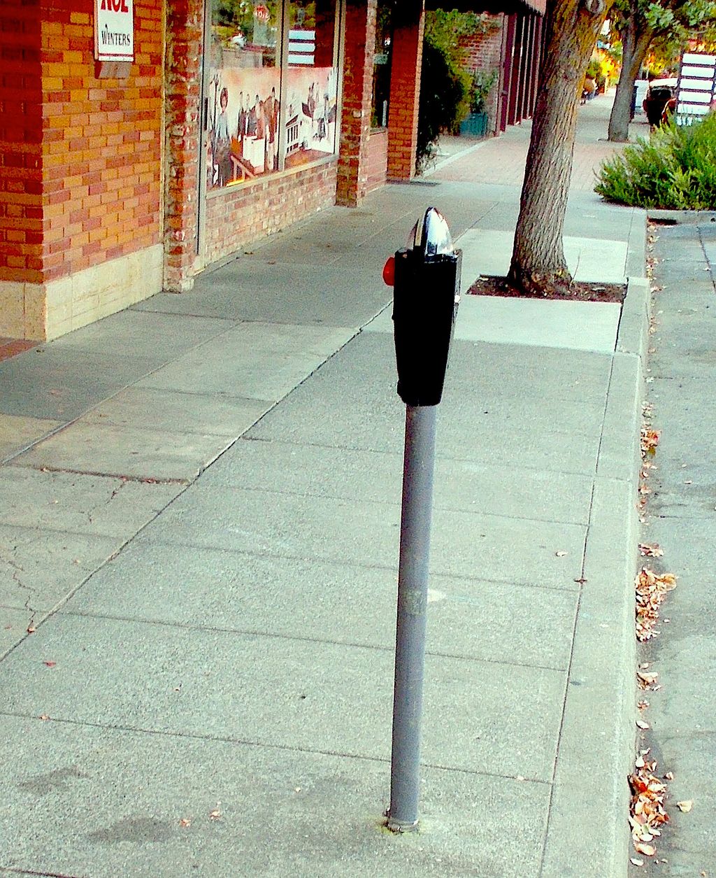 The-Lonely-Parking-Meter
