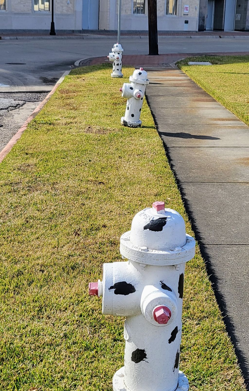 Worlds-Largest-Working-Fire-Hydrant-1